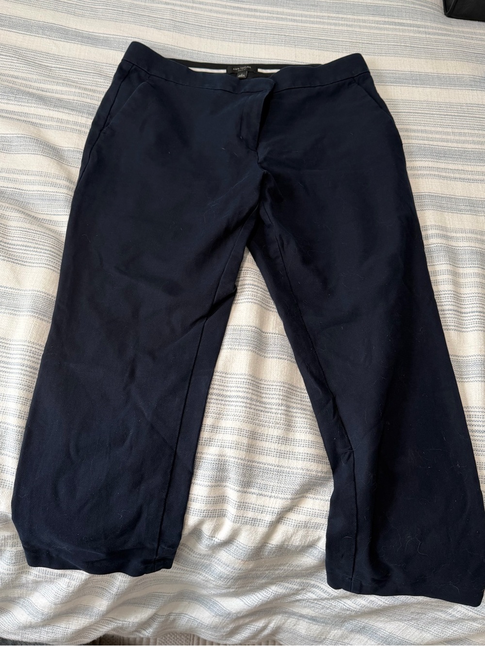 Ann Taylor Navy Blue Pants